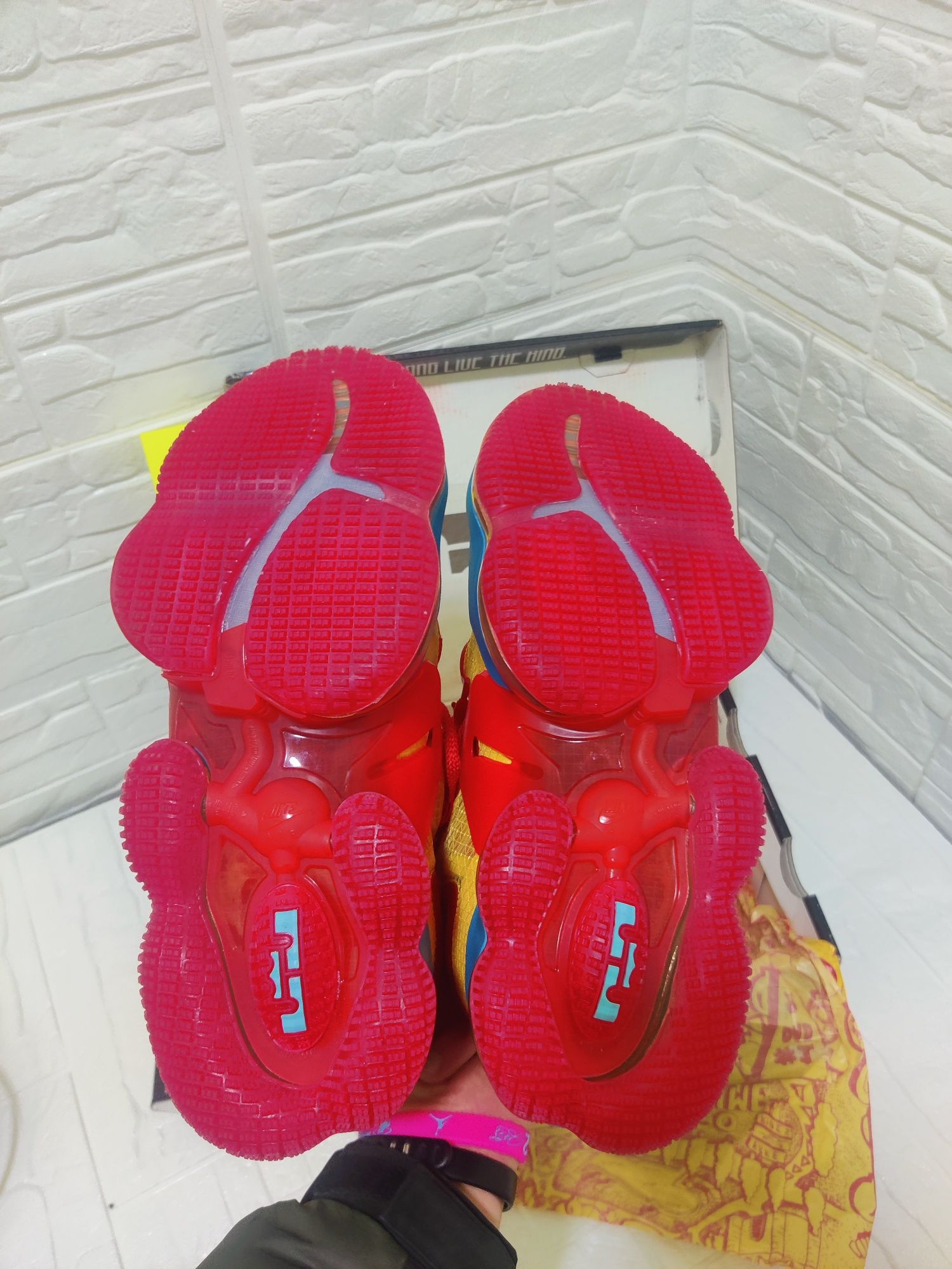 Кросівки Nike Lebron 19 PG 6 Баскетбольні