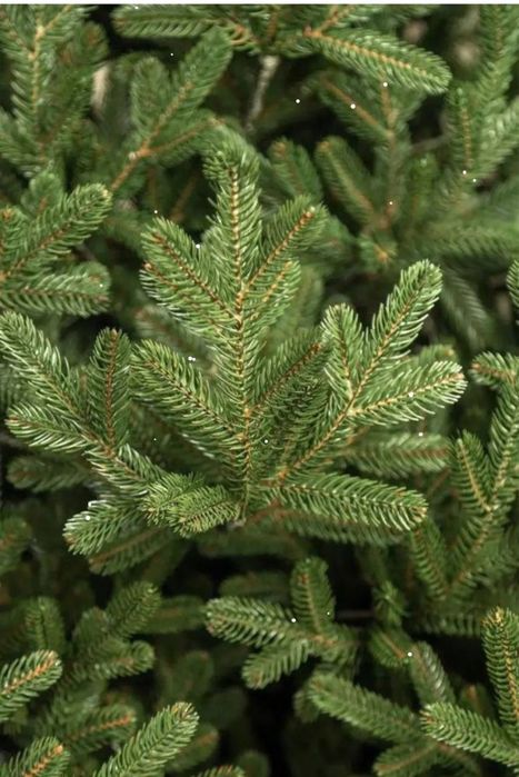 Штучна лита ялинка преміум якості.Власне виробництво