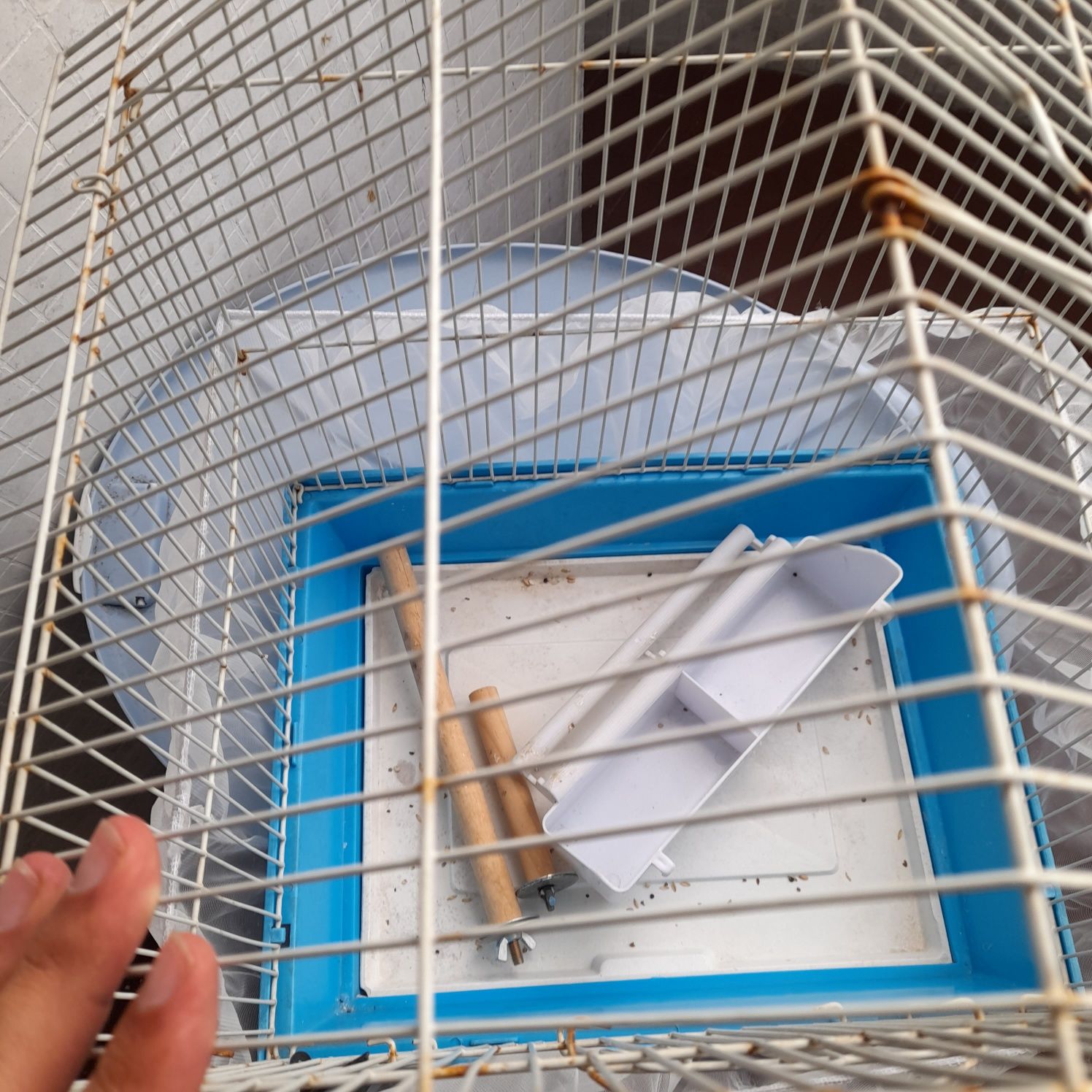 Vendo gaiola + acessórios