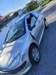 Peuge 206 com marcas
