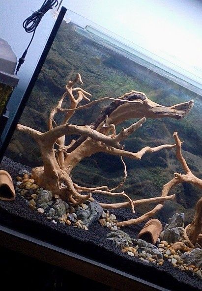 Korzenie skałki akwariowe