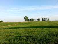 Gospodarstwo rolne - ziemia, dom, budynki – 27,59 ha