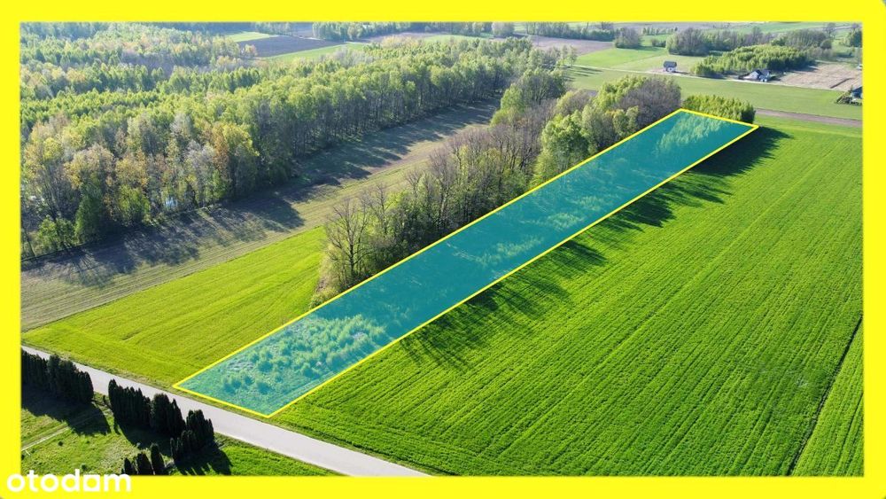 Działka budowlana z lasem w pobliżu Siedlec 62 ary