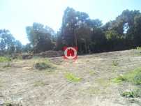 Terreno c/ 9..500m2 em Árvore
