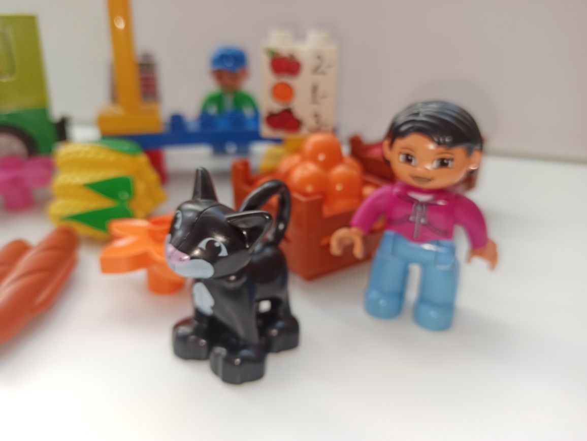 Klocki Lego Duplo warzywniak 5683