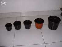 vasos plastico estufa