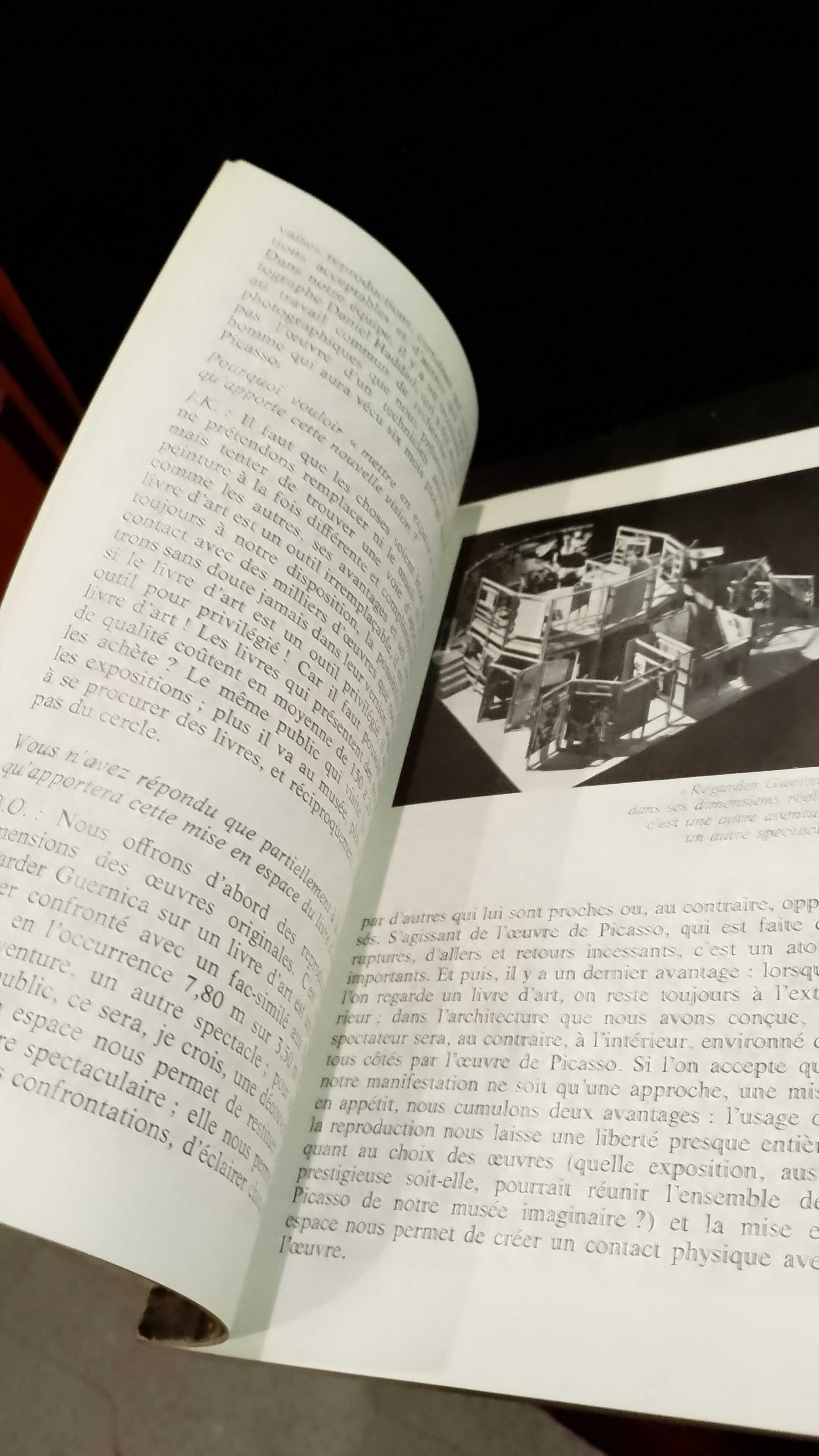 Picasso - Histoire D'une Recherche