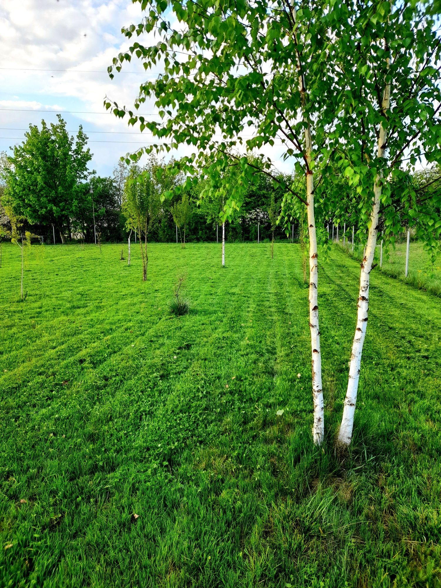 Działka rolno- budowlana