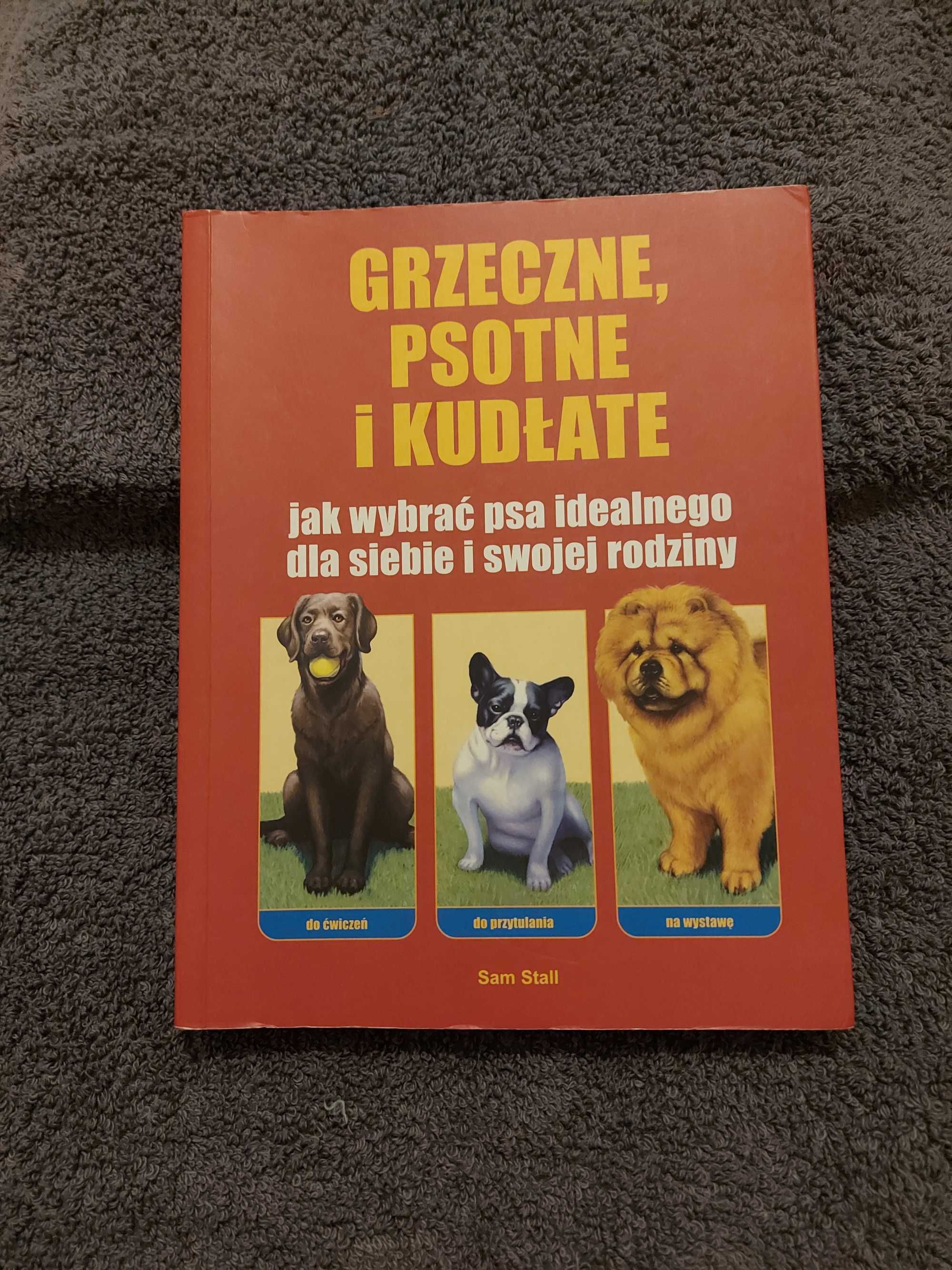 Grzeczne, psotne i kudłate - jak wybrać psa dla siebie i rodziny