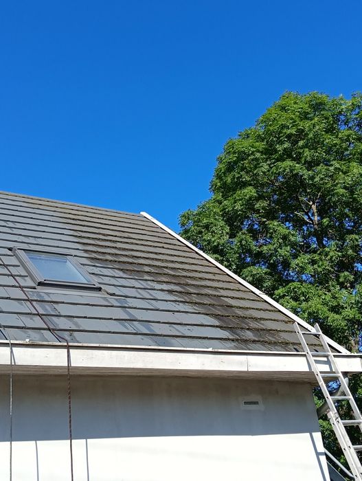 Oferuję mycie dachów i kosti i ewelacji