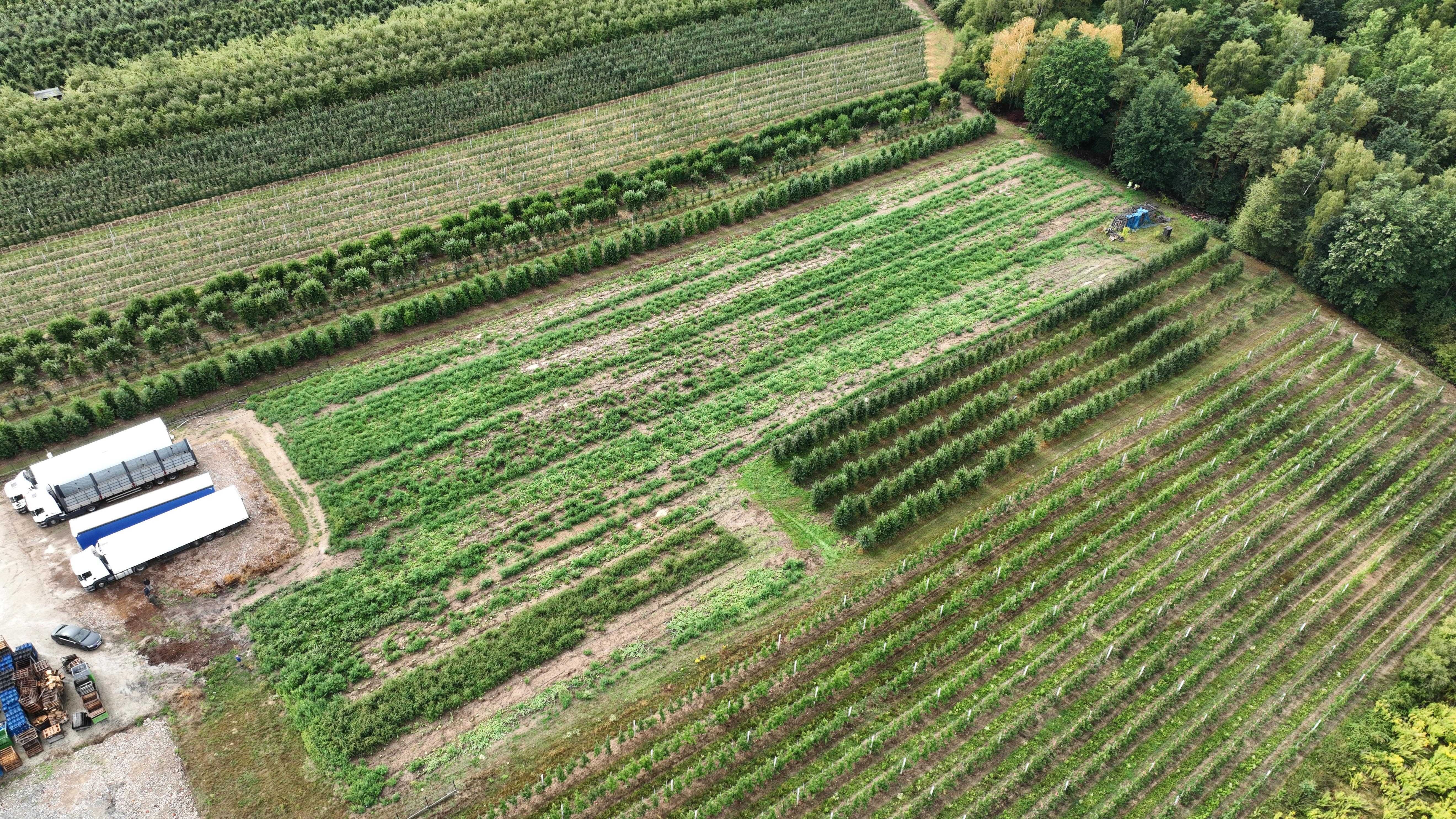 Usługi dronem, fotografia nieruchomości, dokumentacja, filmy reklamowe
