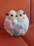 Пушин з зірочкою pusheen cat