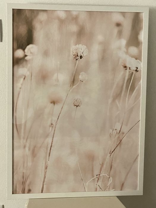 4 quadros com tela Boho Chic