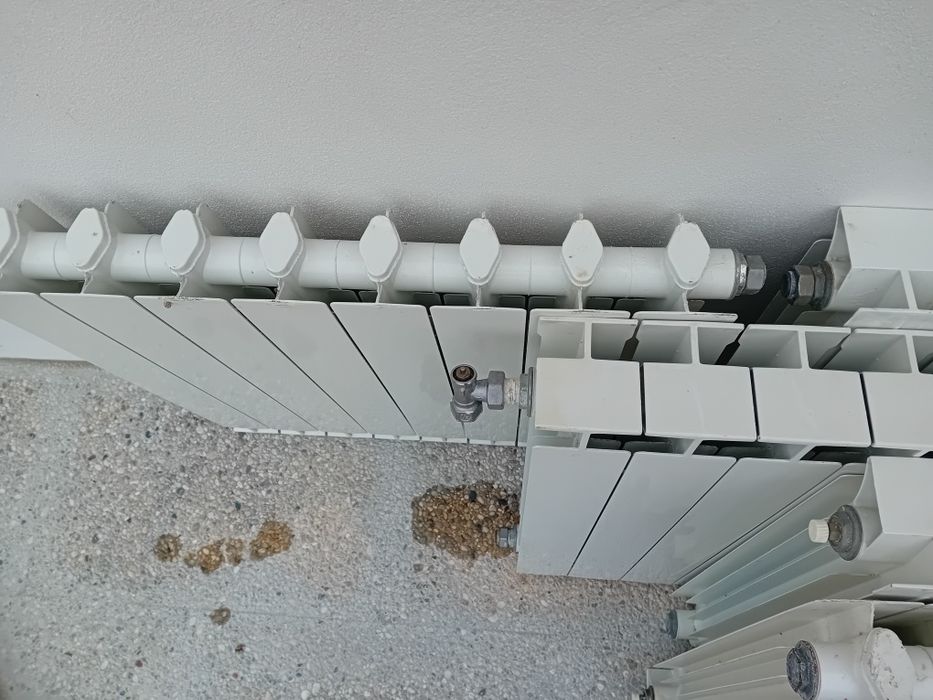 Radiadoroes em optimo estado