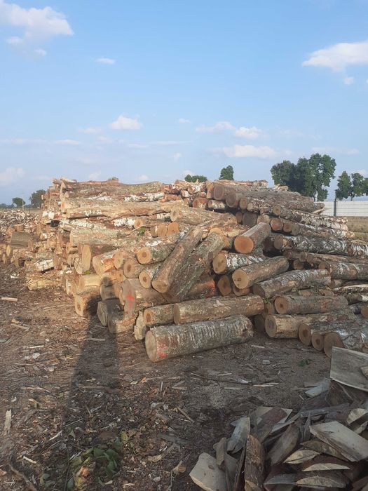 Drewno opałowe kominkowe