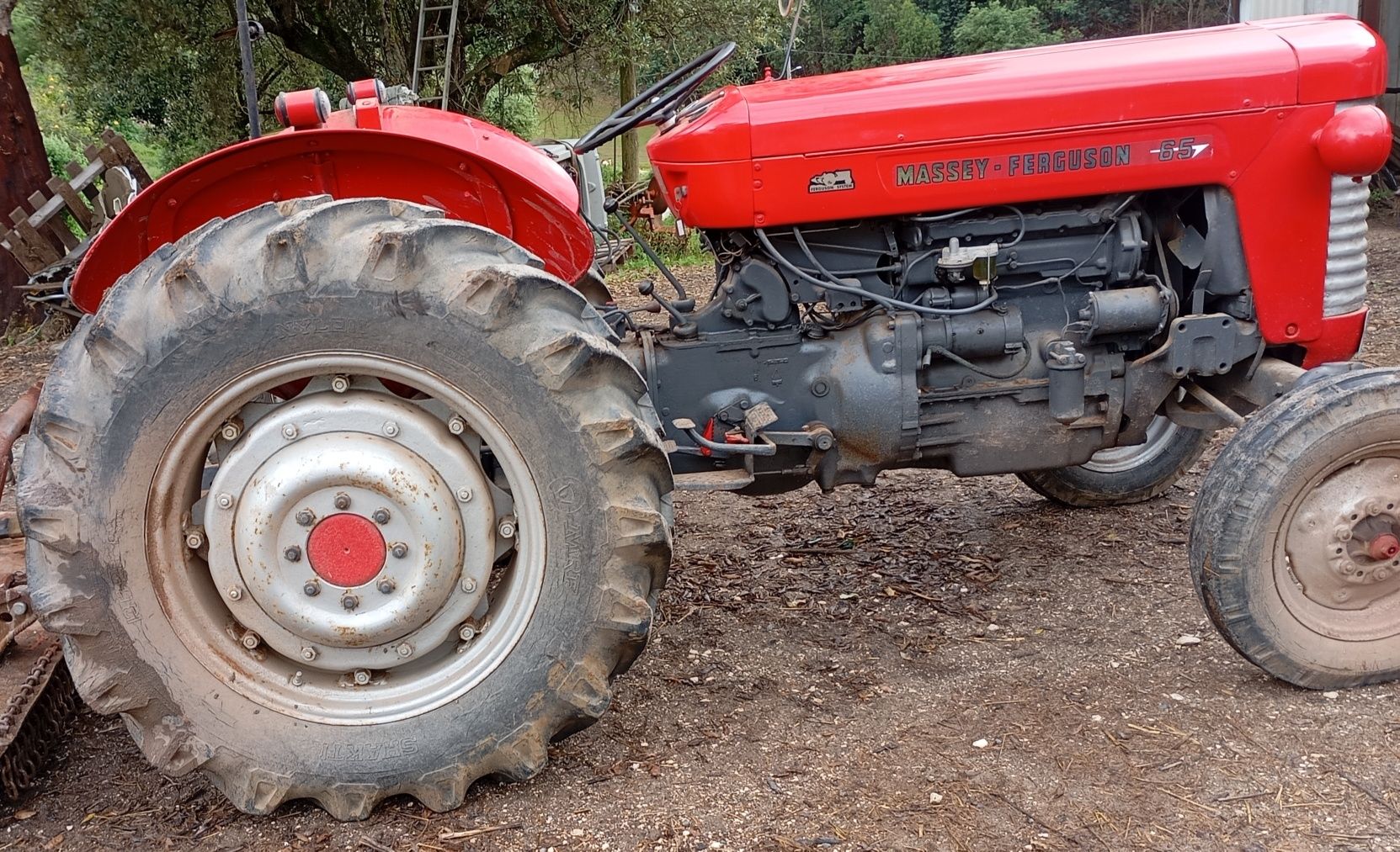 Massey fergus 65