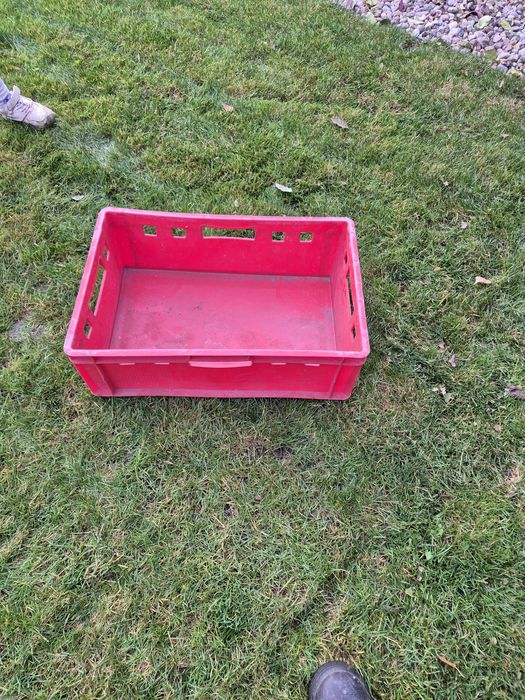 Skrzynki na mieso,warzywa  3 szt