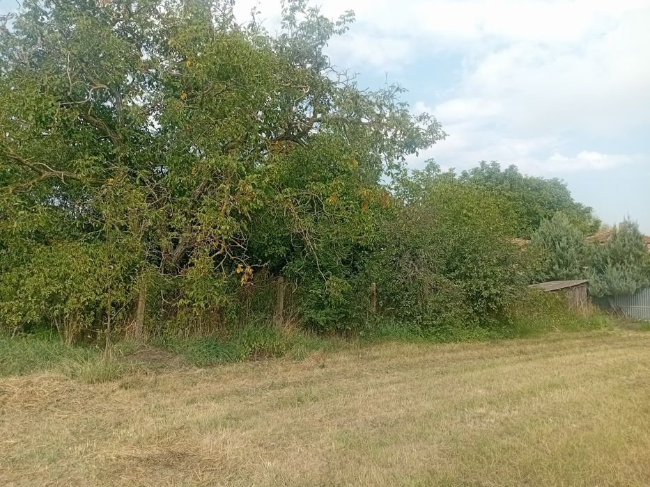 Дешевий будинок в с. Геча з великою ділянкою та садом