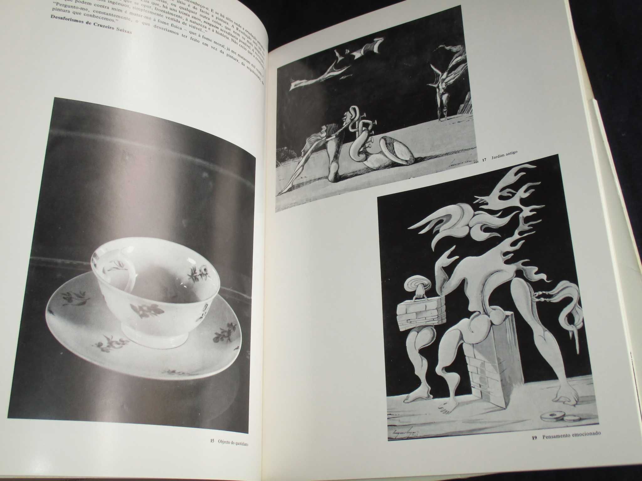 Livro O Atelier de Cruzeiro Seixas Galeria S. Mamede 1980