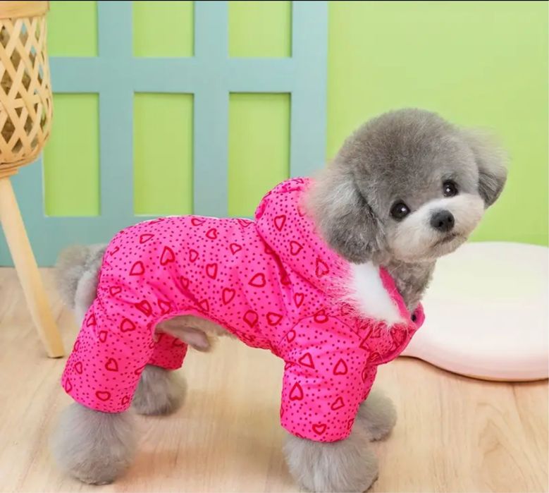 Курточка для собаки маленької породи