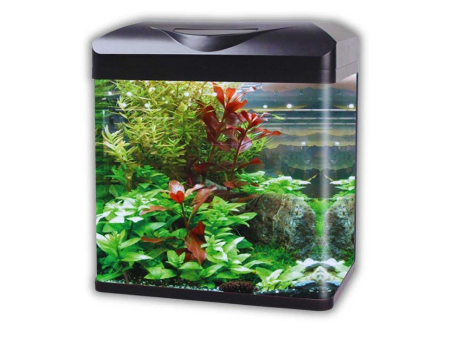 Akwarium Standardowe INVITAL EasyTank PRO LED 30L Czarny - WYPRZEDAŻ