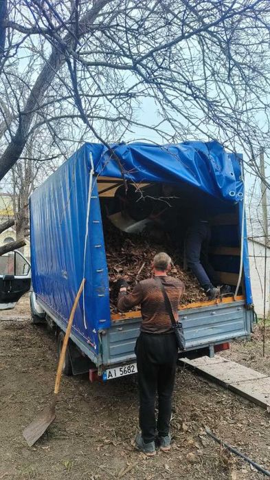 Профессиональные грузоперевозки и услуги грузчиков