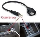 Conversor Jack 3,5mm para USB