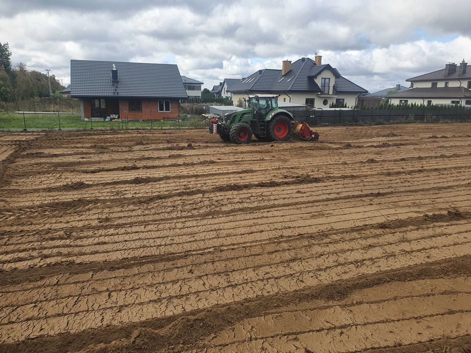 Wycinka drzew, czyszczenie działek, mulczowanie Nieporęt i okolice