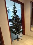 Árvore Natal, oportunidade para despachar