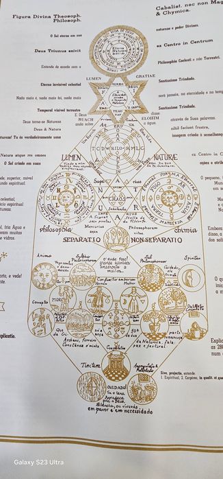 Jogo Córtex, jogo para testar a memória, Raciocínio e velocidade