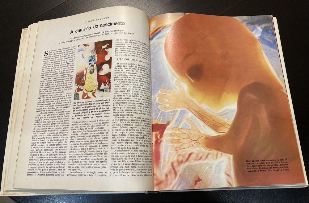 Livro da Vida (7 Volumes)