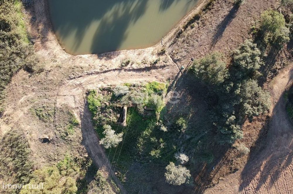 Ruína para recuperar em Ribeira de Arade, Messines + terreno