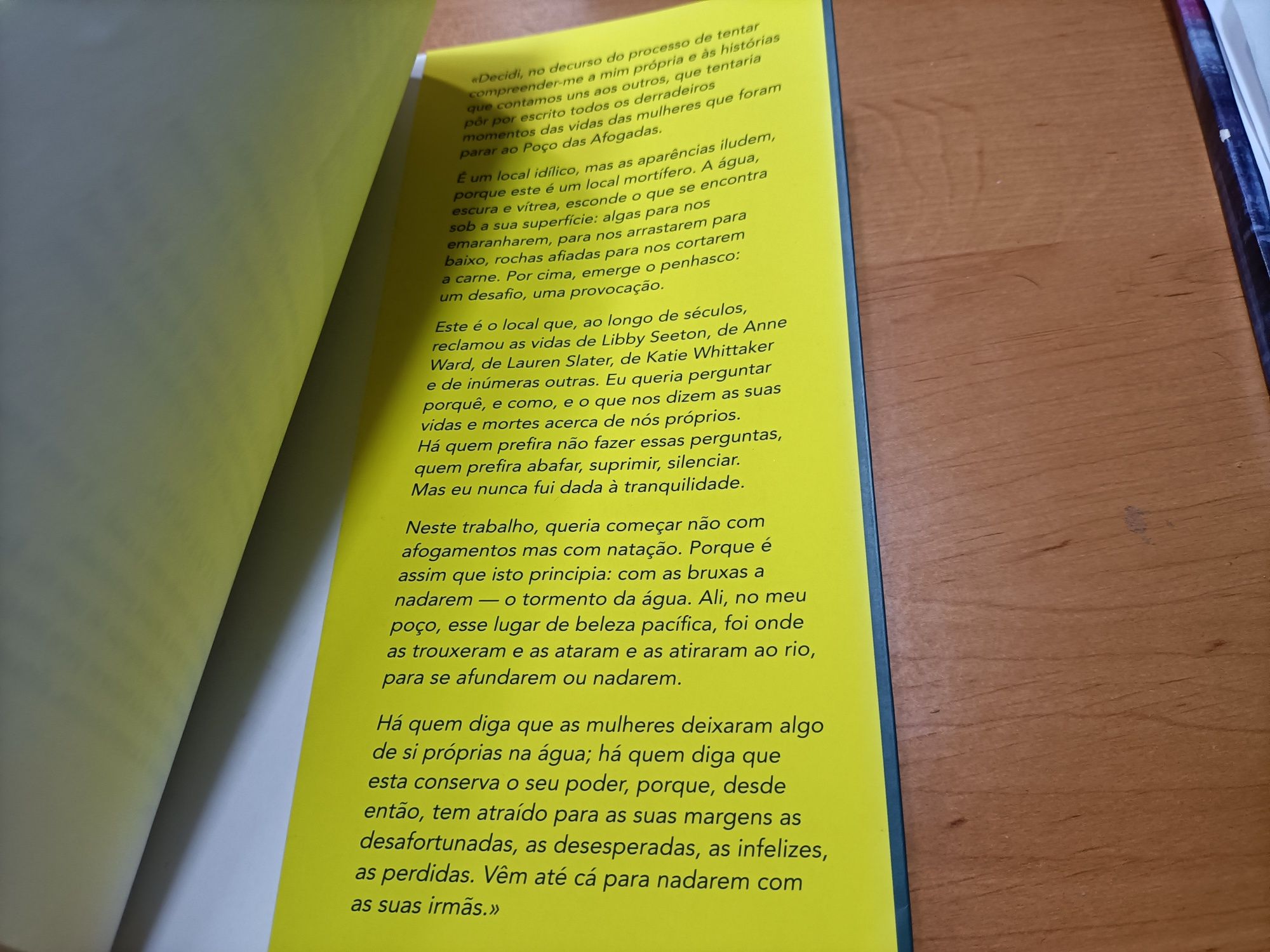 Escrito na água_Paula Hawkins