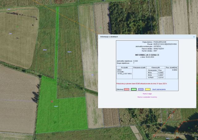 Działka Skrzyszów gm. Ostrów 56,54a IV klasa gruntu