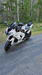 ZX10R 3-gen. (190 koni)