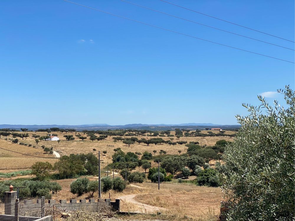 Terreno urbanizavel 1,75 ha
