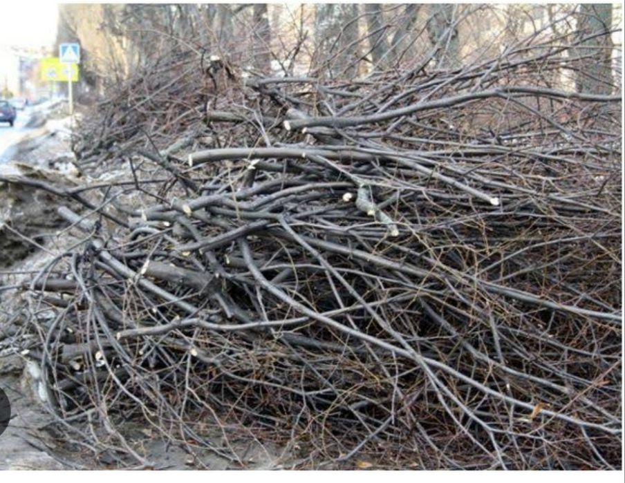 Надаємо послуги з переробки гілля дерев на щепу