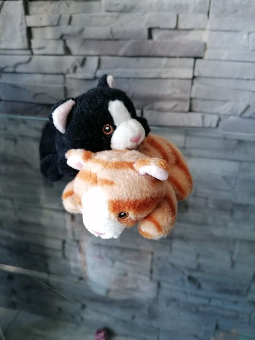 Dwa małe kotki pluszaki