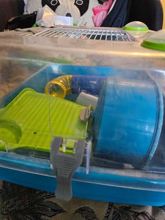 Клітка для гризунів