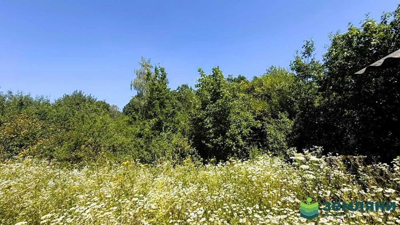 Продається дачна ділянка 6 сот у Микитинцях (7)