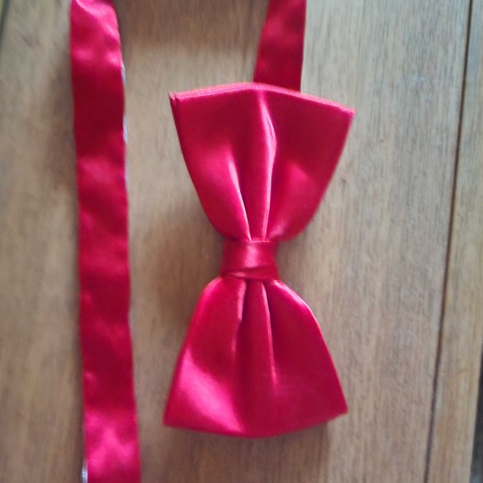 Бабочка красная для мальчика, мужчины.