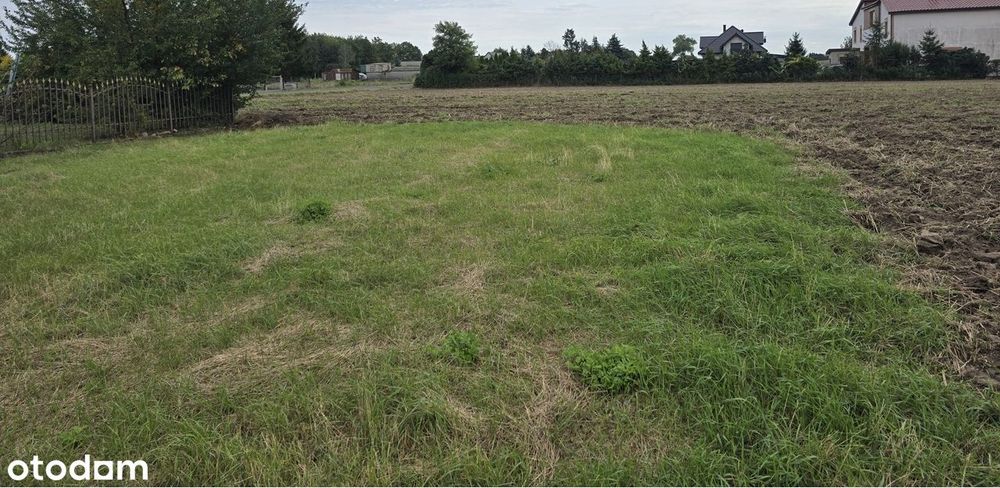 Działki Elzanowo, gm. Kowalewo Pomorskie, 1001m2, Warunki Zabudowy