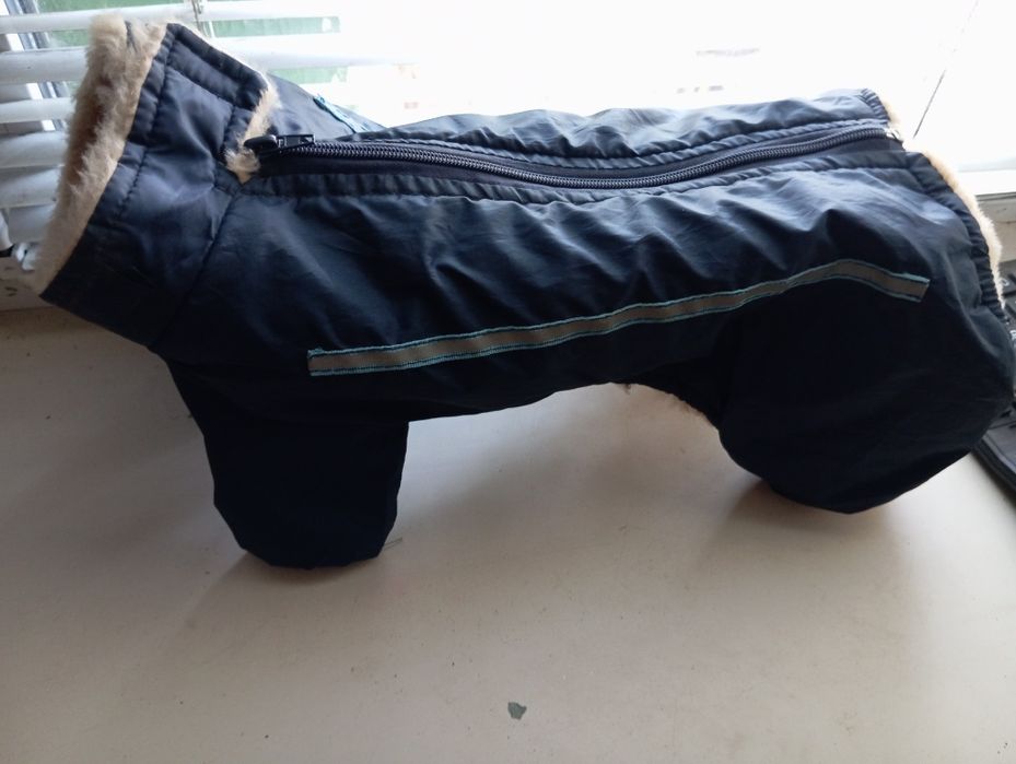 Одежда для маленькой собачки