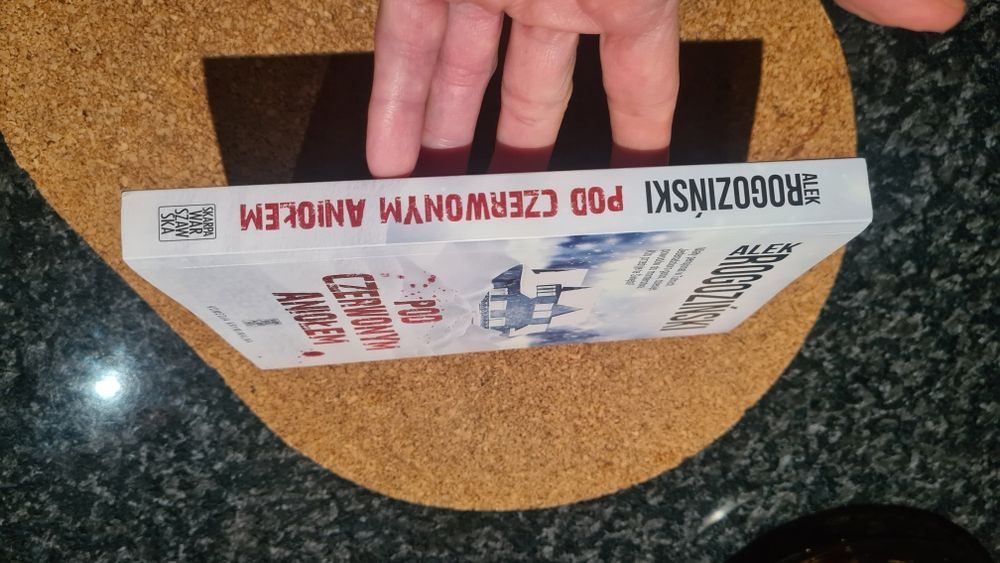Pod Czerwonym Aniołem Alek Rogoziński