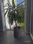 Donice betonowe 34cm
