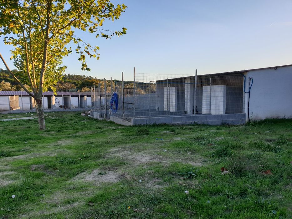 Hotel Canino Quinta do Pêgas