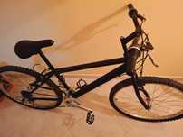 Bicicleta adulto