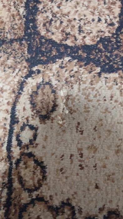 Ковер/килим/доріжка