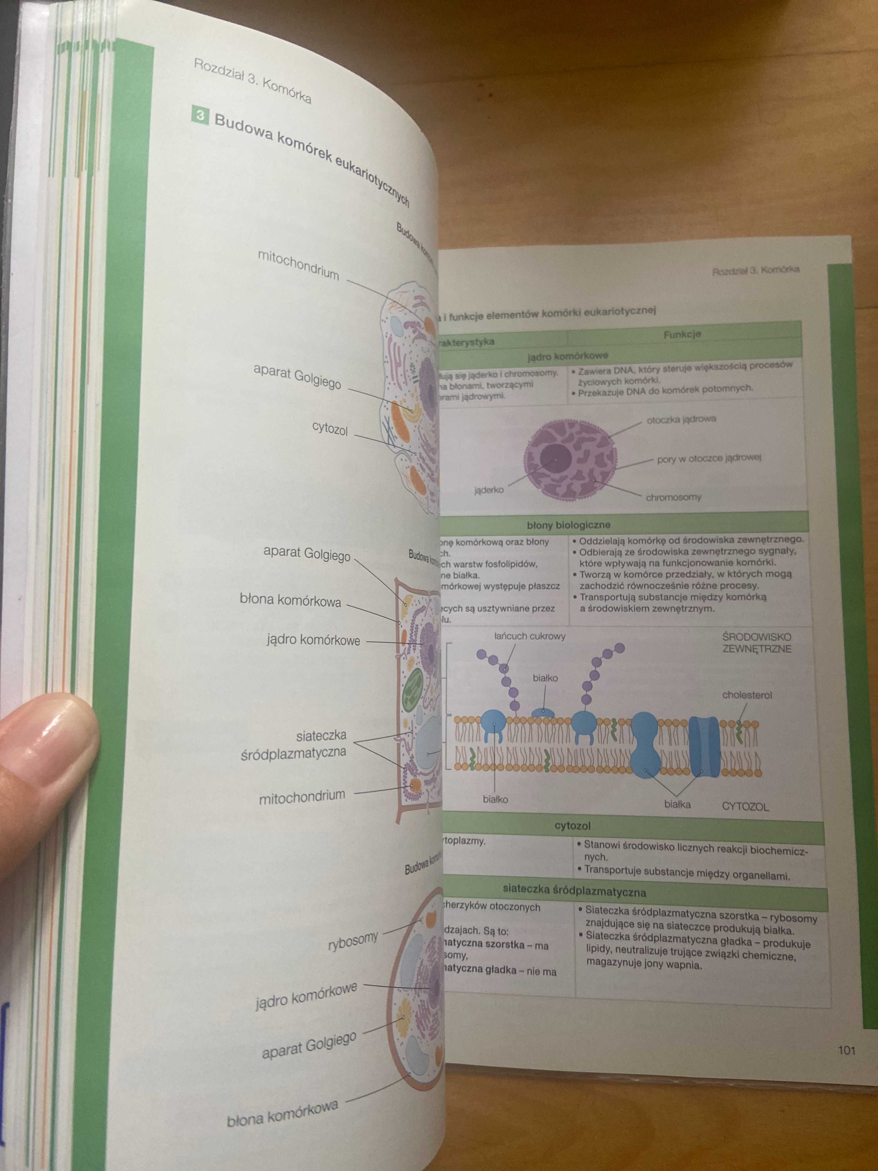 Podrecznik do Biologii klasa 1