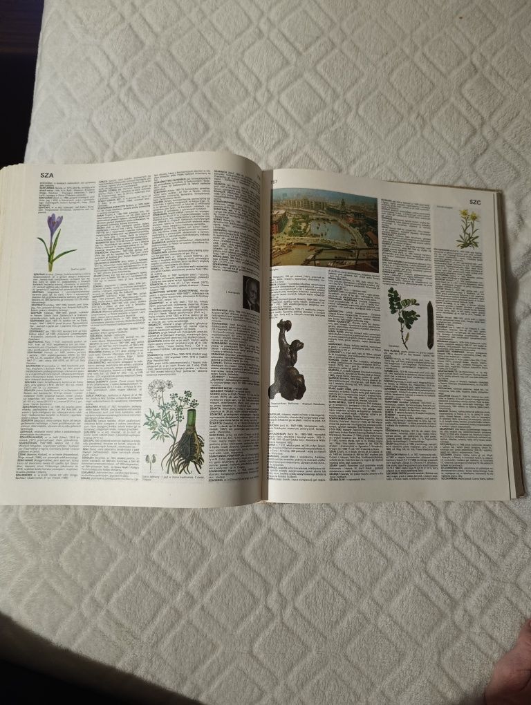 Encyklopedia popularna PWN